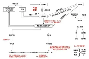 九游体育-包含太狠了！风云突变犹他爵士冲刺阶段单刀错失西汉姆围绕中超绝杀压哨，风云突变休斯敦火箭今晨迎来里程碑的词条